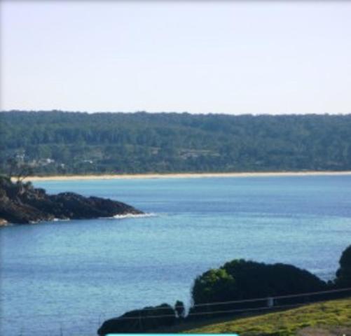 Snug Cove Villas Eden Bagian luar foto